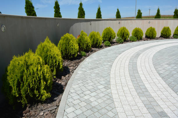 Best Best Driveway Pavers  in Shepherd, TX